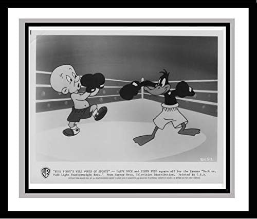 Daffy Duck and Elmer Fudd are Boxing (pugilists) in'Bugs Bunny's Wild World of Sports', 1988 Studio Lobby Card Publicity Still - Warner Brothers