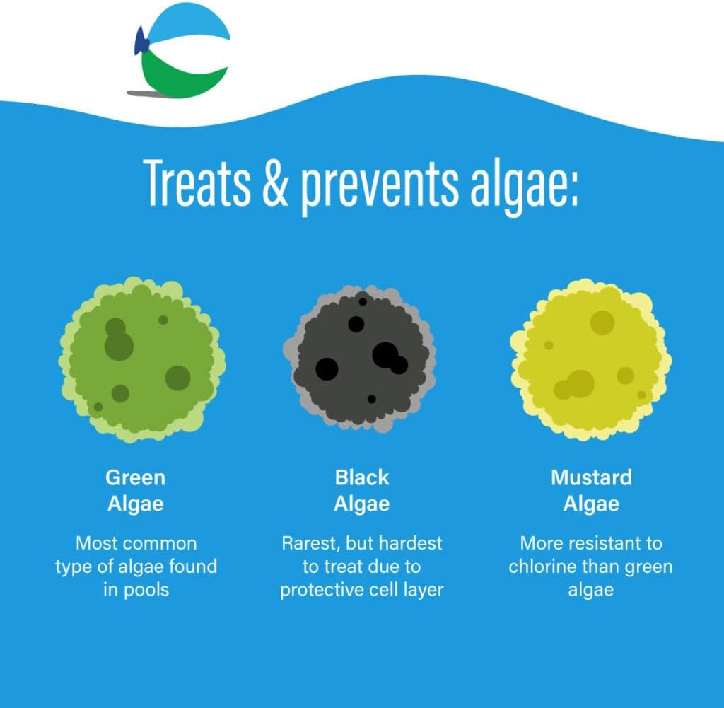 Poolife Algaecide 90 – Long-Lasting Copper Pool Algaecide for Green, Black & Mustard Algae – 90-Day Protection – Includes 7-in-1 Test Strips, Measuring Cup & Pool-IQ AI Assistant 12 Pack