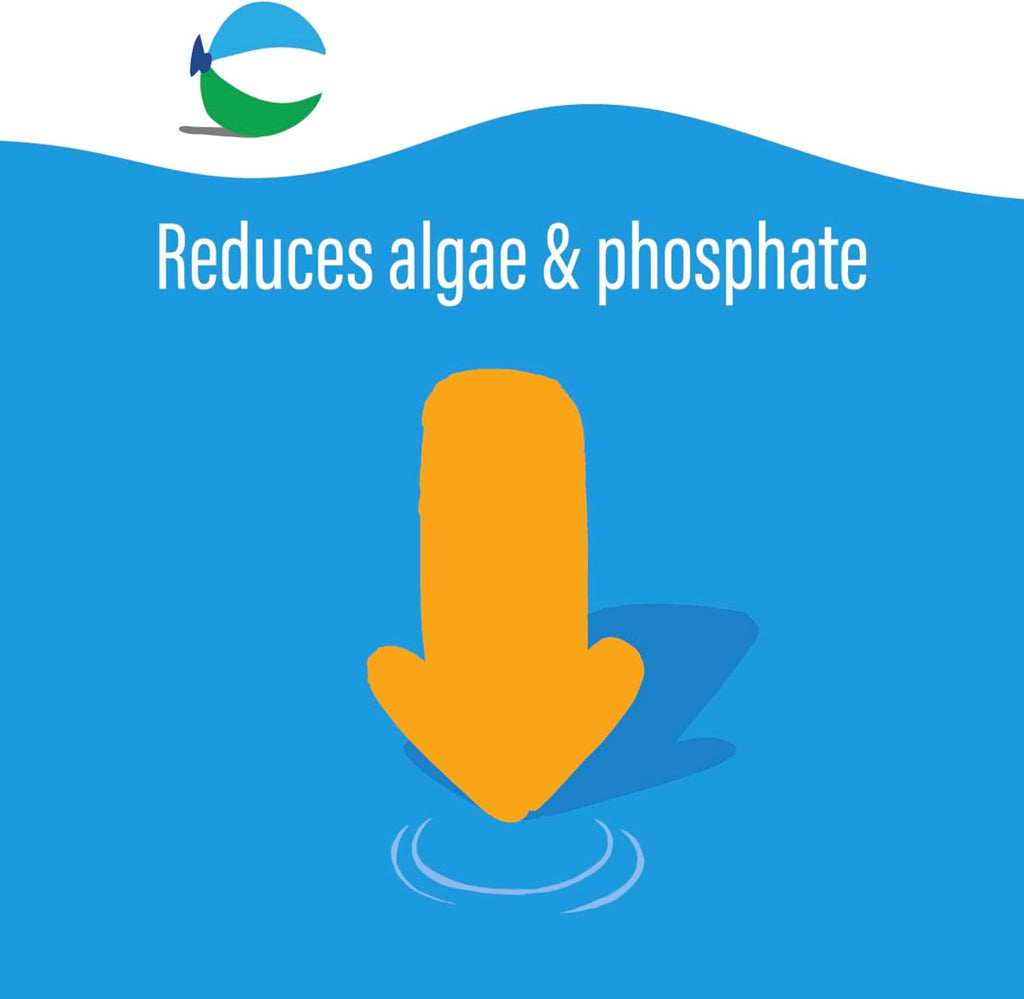 poolife AlgaePhos Algaecide (1 qt) (4)
