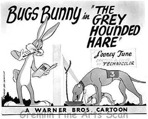 Bugs Bunny in'The Grey Hounded Hare' Directed by Bob McKimson. Released on August, 6, 1949 Studio Lobby Card Publicity Still - Warner Brothers