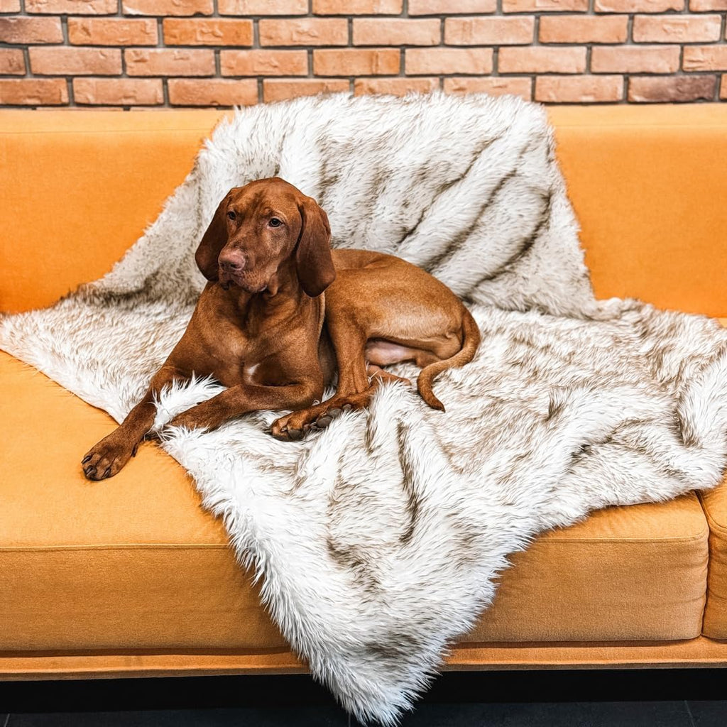 IHAPPYDOG Waterproof Faux Fur Dog Blanket – Pet Throw & Couch Protector for Sofa, Bed, Furniture – Plush Pup Cover for Small Medium Large Dogs – Machine Washable – White w/Brown Tips – 80' x 60'