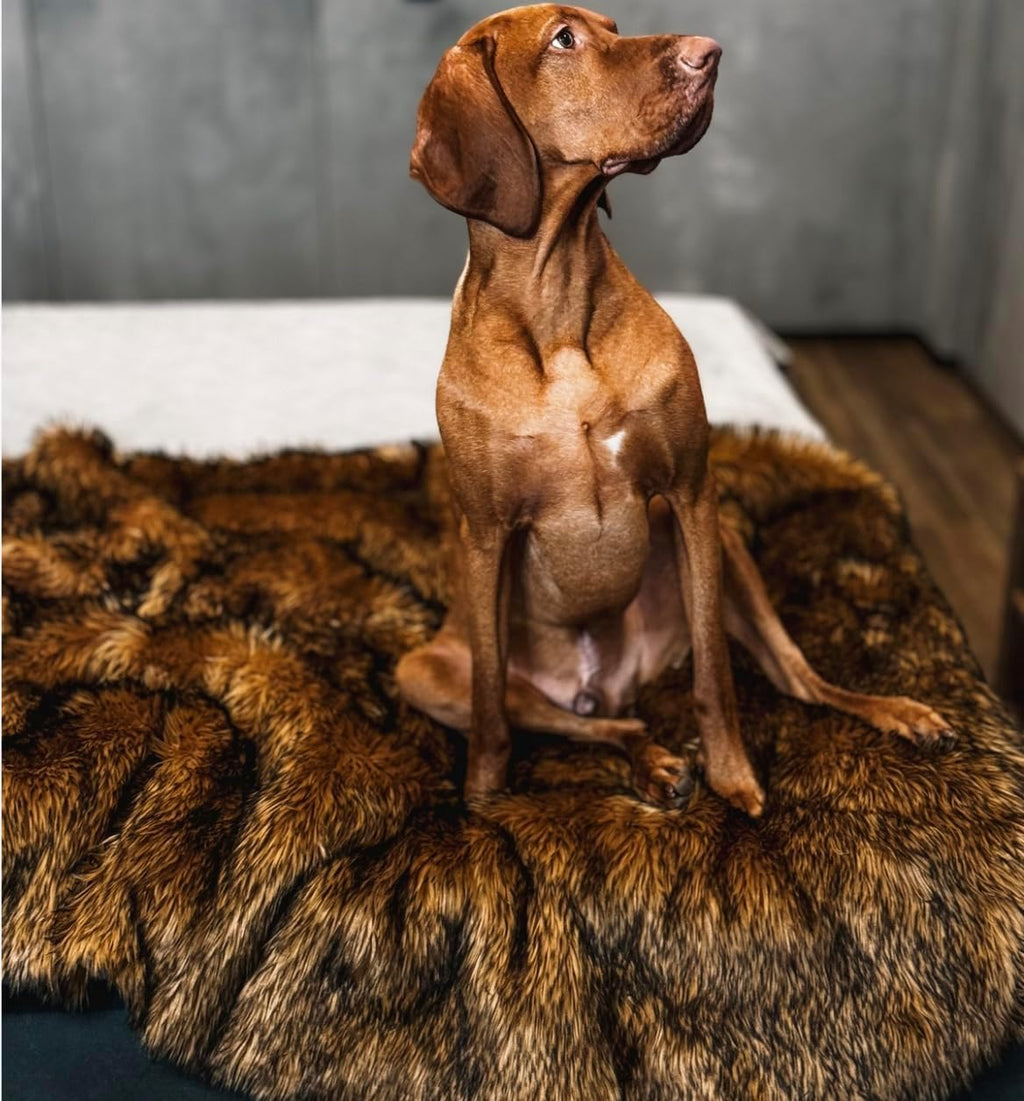 IHAPPYDOG Waterproof Faux Fur Dog Blanket – Pet Throw & Couch Protector for Sofa, Bed, Furniture – Plush Pup Cover for Small Medium Large Dogs – Machine Washable – Brown 60' x 50'