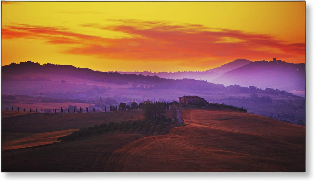 NEC X554UNV 55' Full HD Commercial LED Monitor