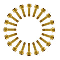 RISON Titanium Wheel Lug Bolts M14x1.5x52/67mm Lug Bolts Aerospace Grade 6AL4V Lightweight and Durability Lug Bolt Car Accessories for Ferrari Pack of 20pcs (Gold, M14X1.5X67mm)