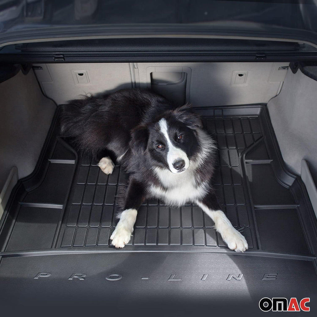 OMAC Premium Floor Mats & Cargo Liners for Tesla Model 3 2017-2025 Black 4 Pcs
