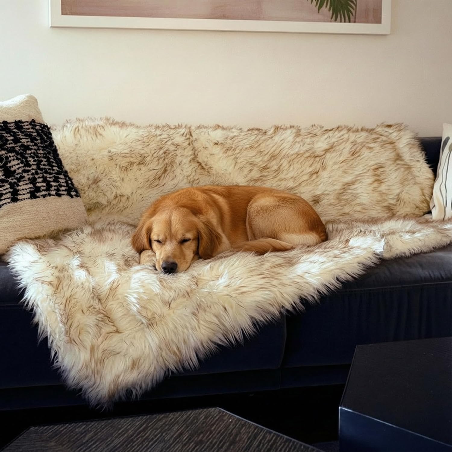 IHAPPYDOG Waterproof Faux Fur Dog Blanket – Pet Throw & Couch Protector for Sofa, Bed, Furniture – Plush Pup Cover for Small Medium Large Dogs – Machine Washable – White w/Brown Tips – 80' x 60'