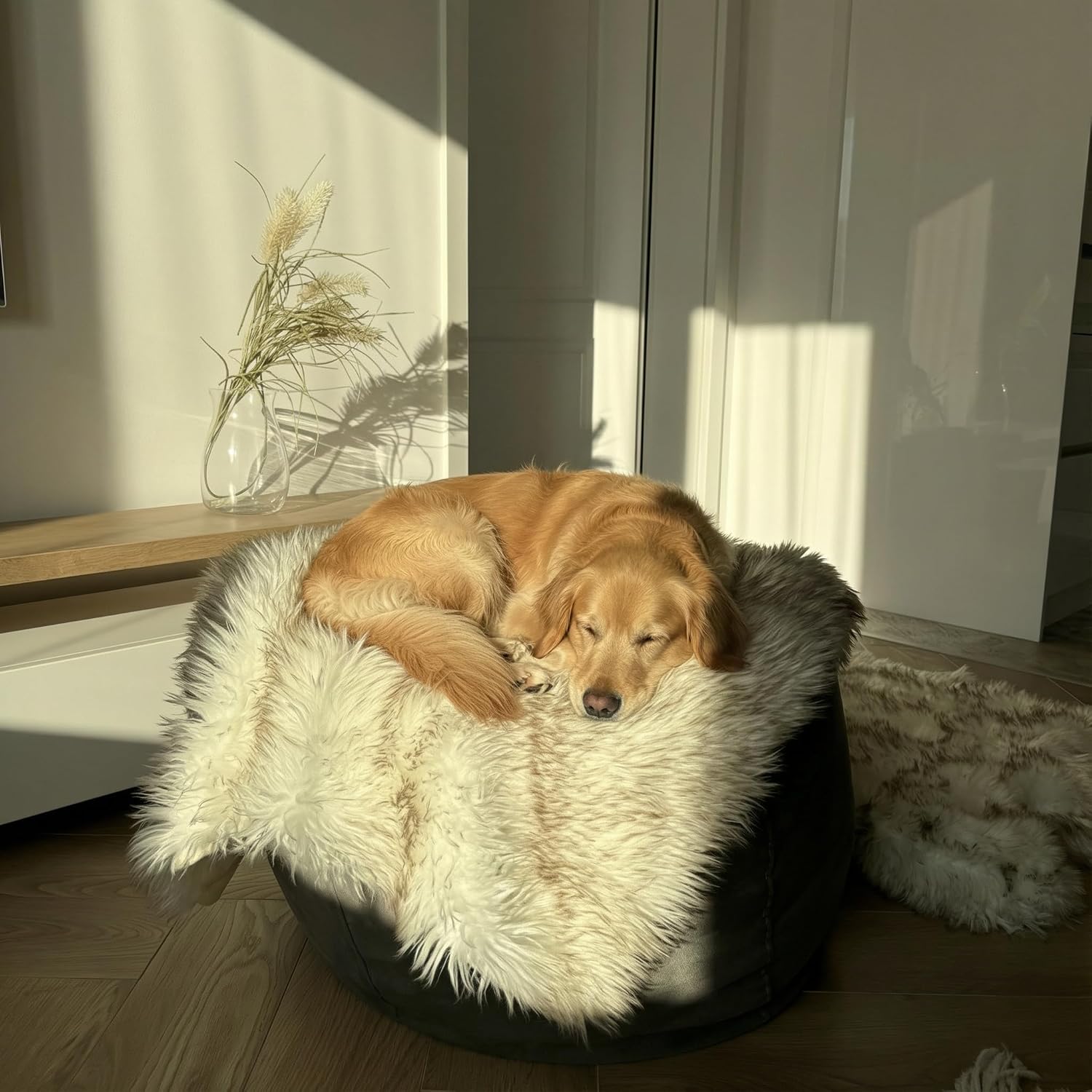 IHAPPYDOG Waterproof Faux Fur Dog Blanket – Pet Throw & Couch Protector for Sofa, Bed, Furniture – Plush Pup Cover for Small Medium Large Dogs – Machine Washable – White w/Brown Tips – 80' x 60'