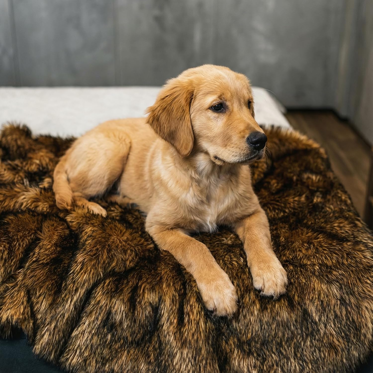 IHAPPYDOG Waterproof Faux Fur Dog Blanket – Pet Throw & Couch Protector for Sofa, Bed, Furniture – Plush Pup Cover for Small Medium Large Dogs – Machine Washable – Brown 60' x 50'